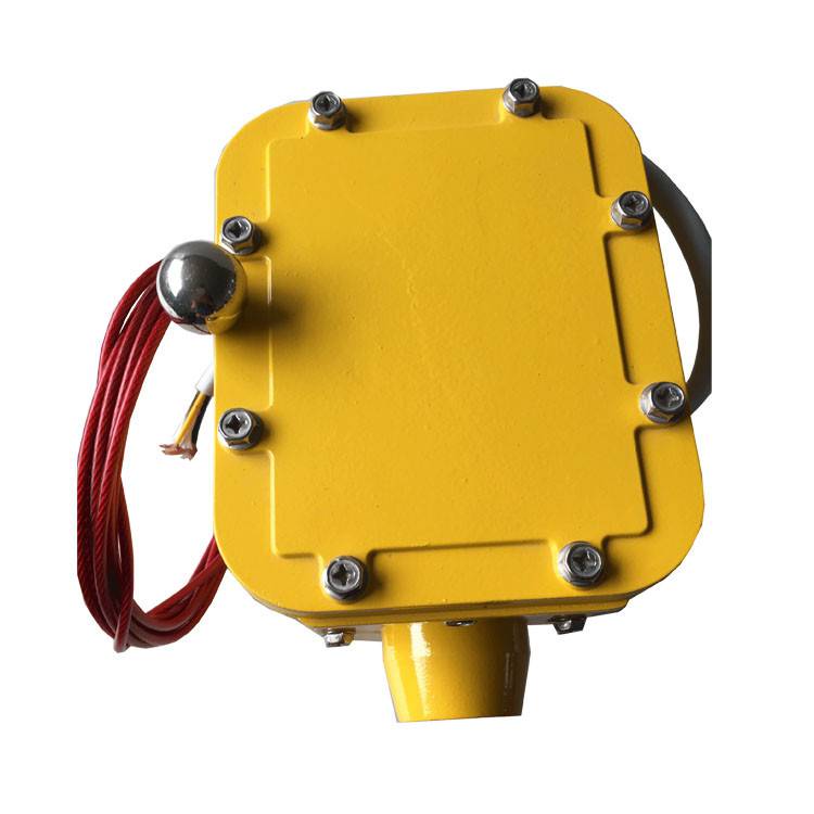 皮帶縱向撕裂檢測器SCPT-180-30、皮帶縱向撕裂檢測裝置ZL-B-II-100生產(chǎn)